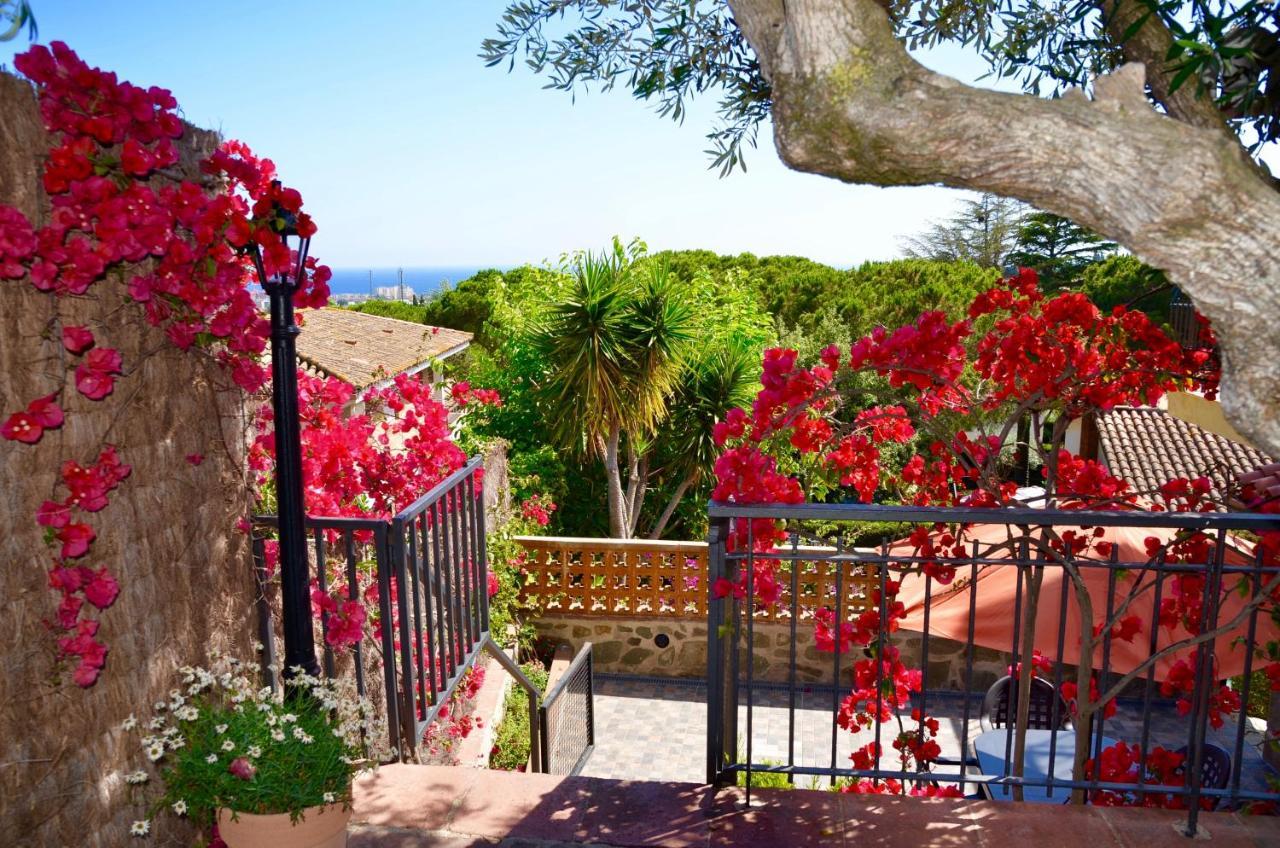 Apartament Arts House - Cabrils, Maresme, Barcelona Zewnętrze zdjęcie